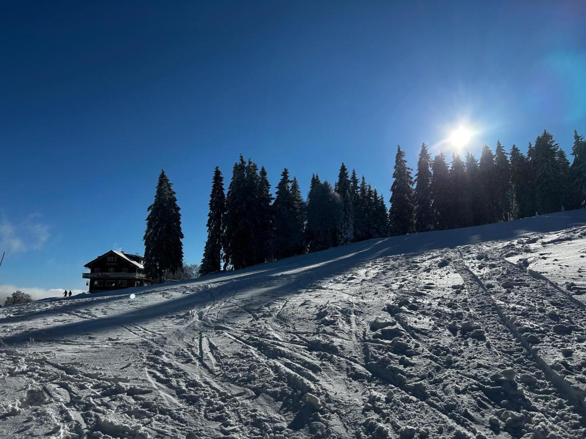 Feldberg Apartment - Direkt An Der Skipiste - Mit Sauna Exterior photo